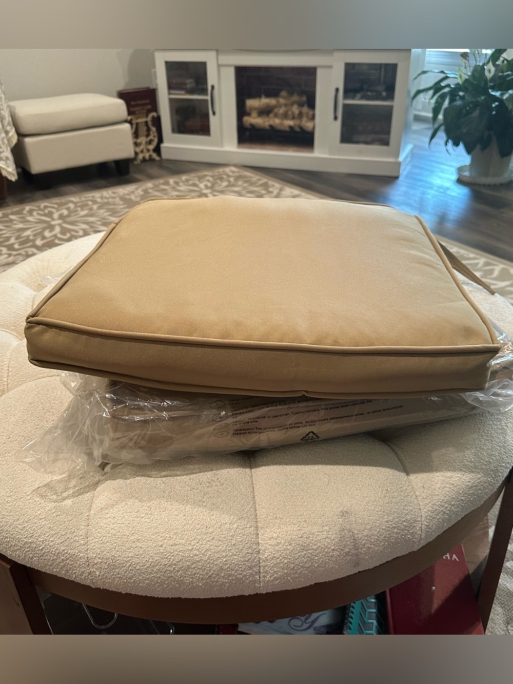 2 Outside Chair pillow cushions Tan color nwot 🪑 ⛱️
